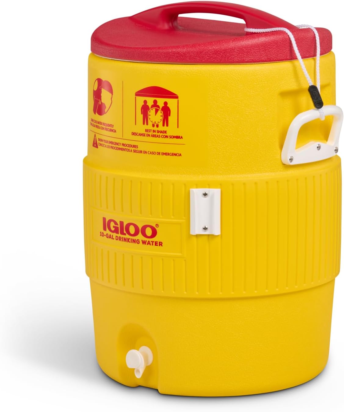 Igloo Sports Cooler product photo